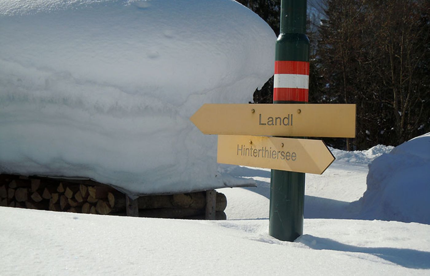winter2.JPG